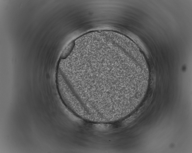 X0000094210805200711241658