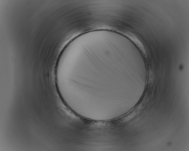 X0000094210806200711241658