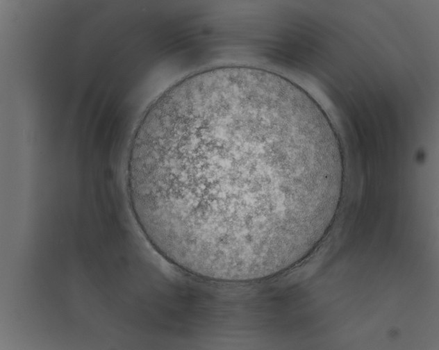 X0000094210807200711241658