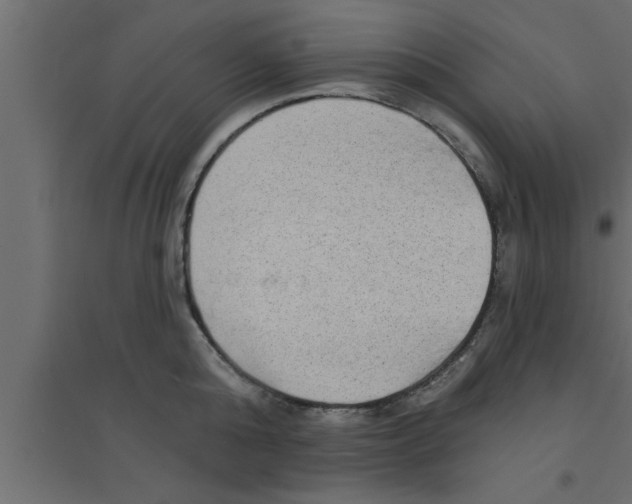 X0000094210808200711241658