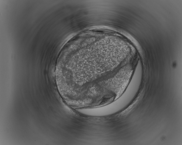 X0000094210809200711241658