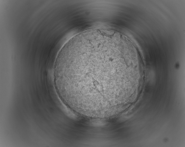 X0000094210810200711241658