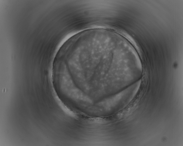 X0000094210811200711241658