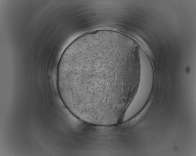 X0000094210812200711241658