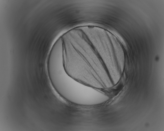 X0000094210813200711241658