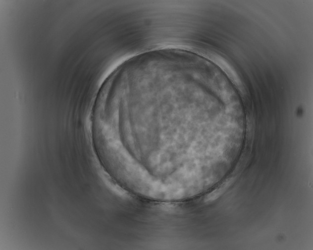 X0000094210814200711241658