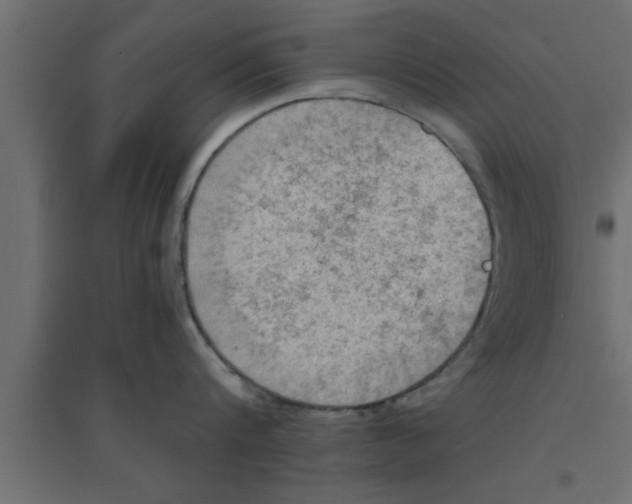 X0000094210816200711241658