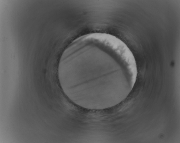X0000094210817200711241658