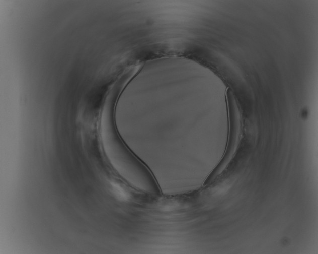 X0000094210818200711241658