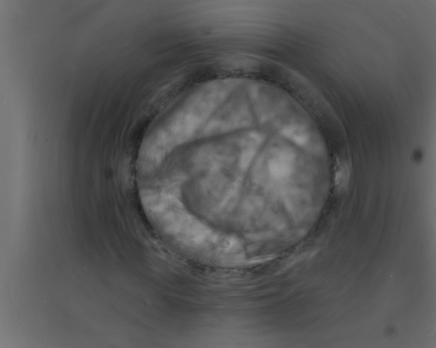 X0000094210819200711241658