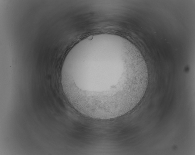 X0000094210820200711241658