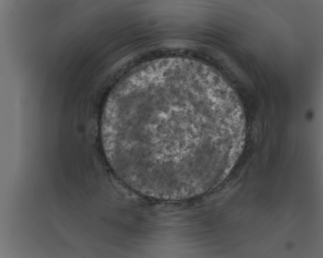 X0000094210821200711241658