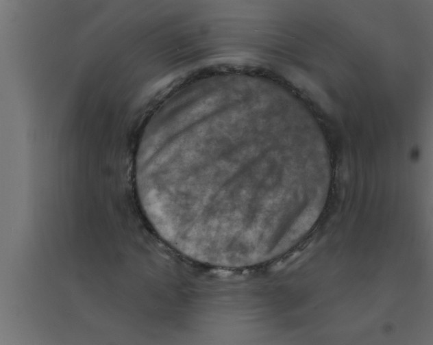 X0000094210822200711241658