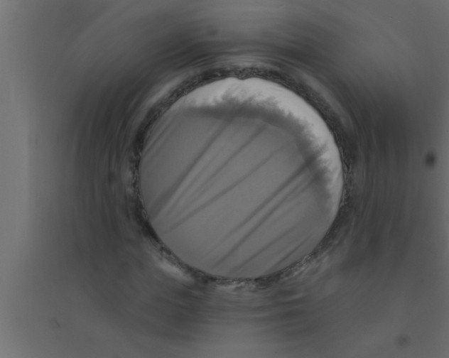 X0000094210823200711241658