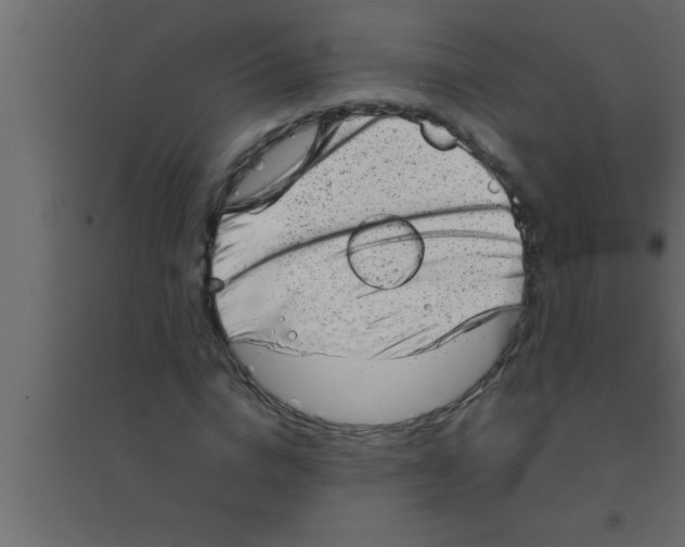 X0000094210824200711241658