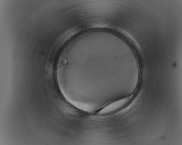 X0000094210825200711241658