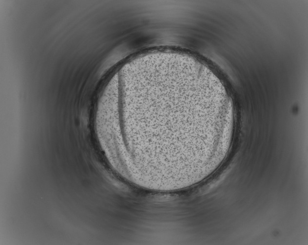 X0000094210826200711241658