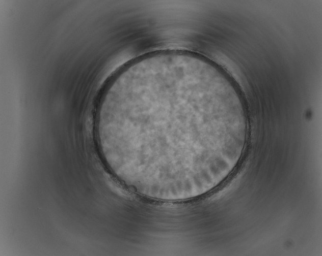 X0000094210827200711241658