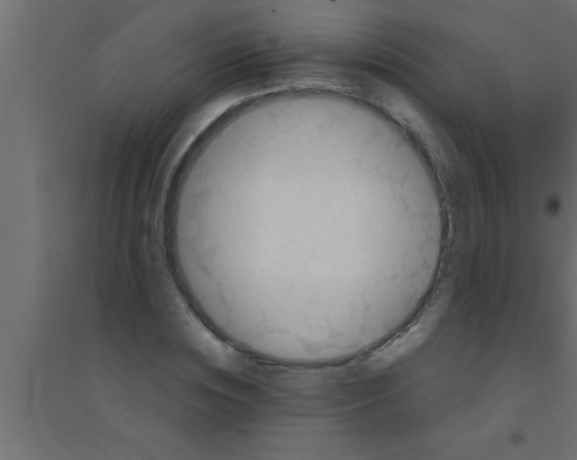 X0000094210828200711241658