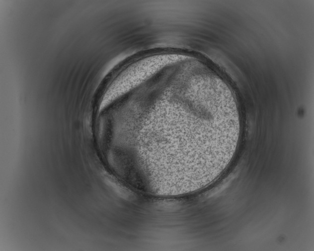 X0000094210830200711241658