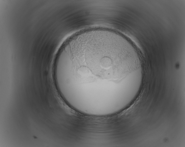 X0000094210832200711241658
