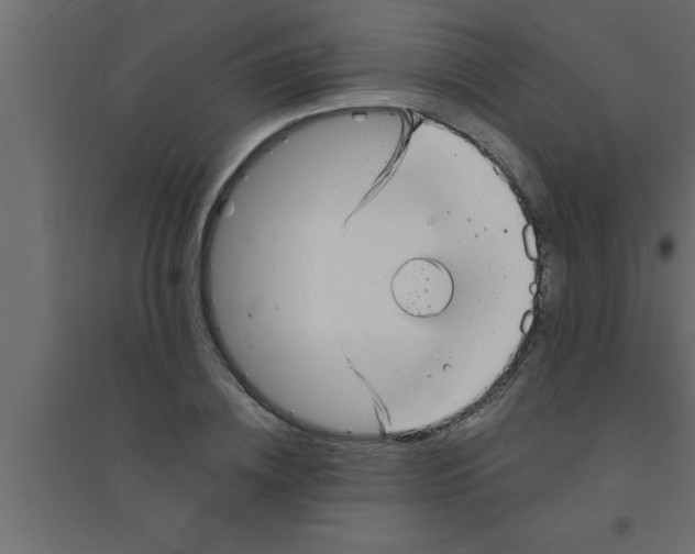 X0000094210836200711241658