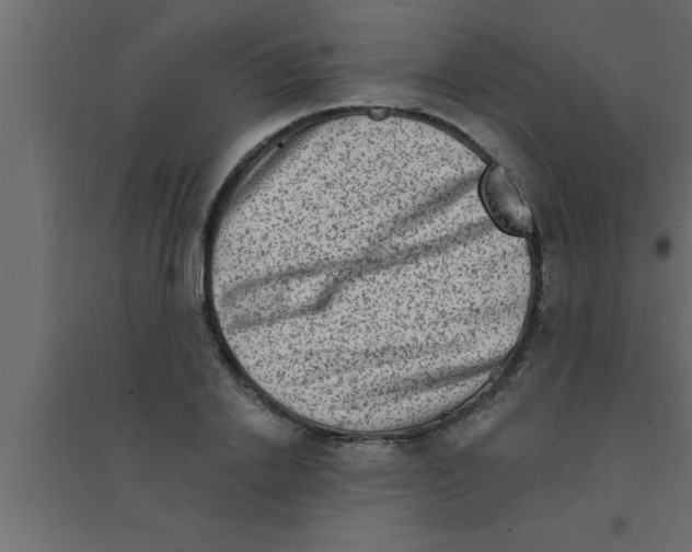 X0000094210838200711241658
