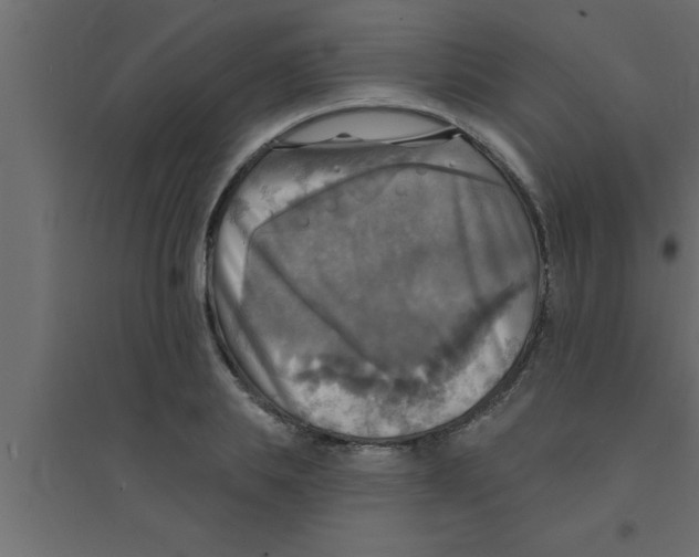 X0000094210839200711241658