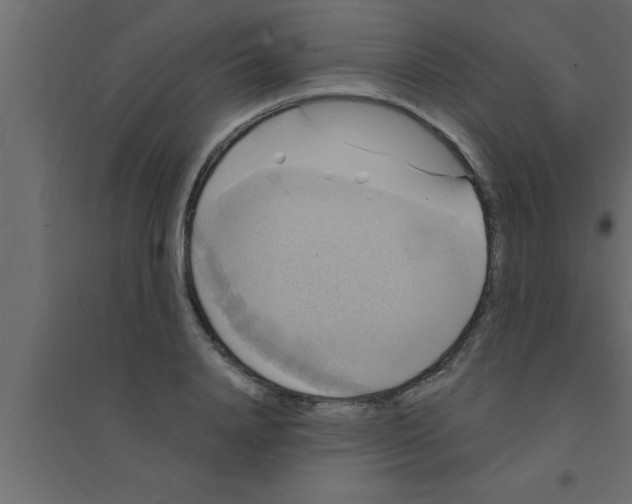 X0000094210840200711241658