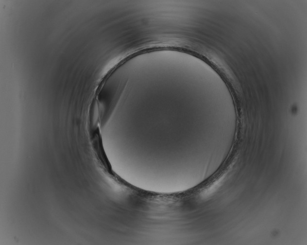 X0000094210842200711241658