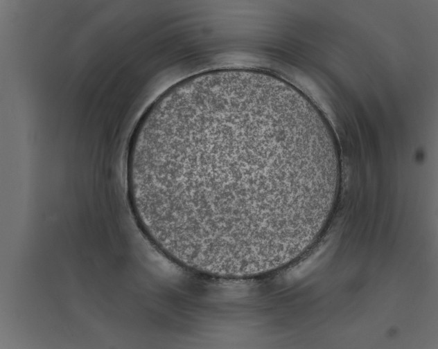 X0000094210843200711241658