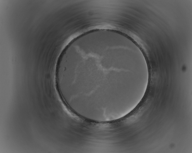 X0000094210845200711241658