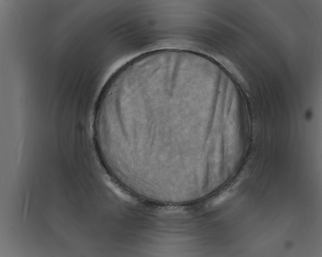 X0000094210846200711241658