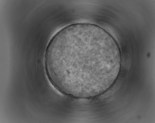 X0000094210847200711241658