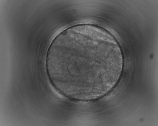 X0000094210850200711241658