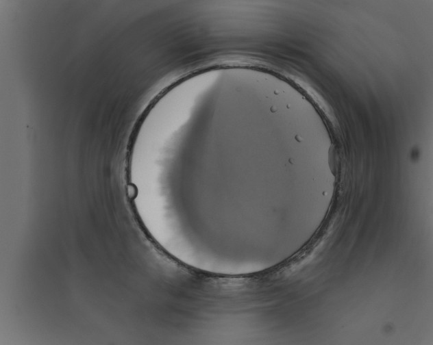 X0000094210853200711241658