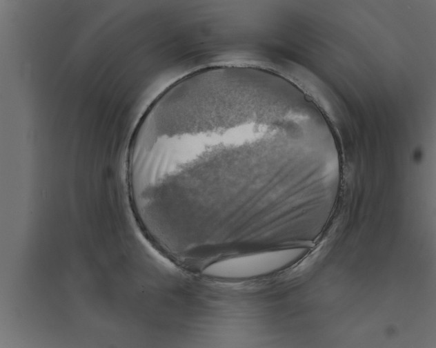 X0000094210855200711241658