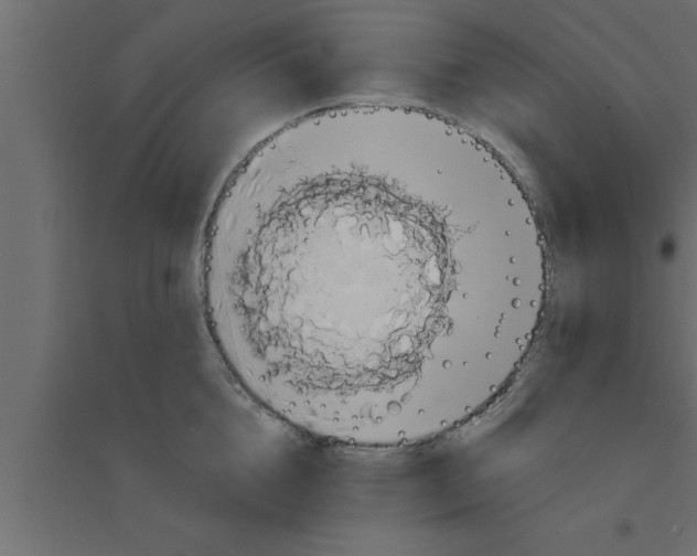 X0000094210856200711241658