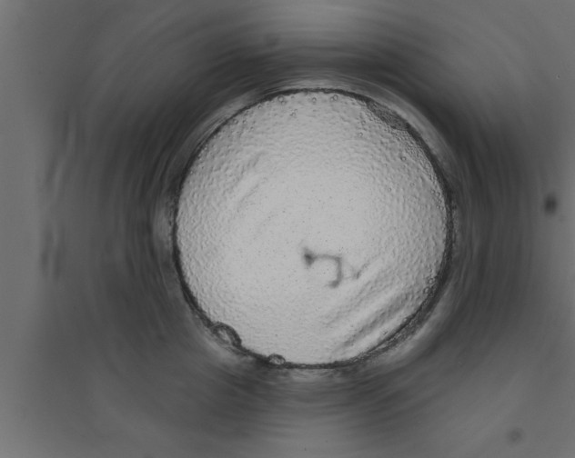 X0000094210857200711241658