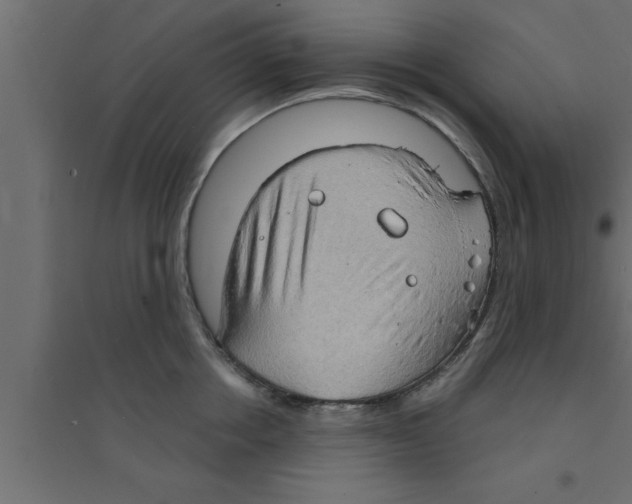 X0000094210858200711241658