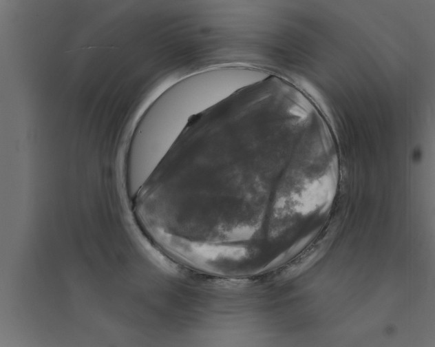 X0000094210859200711241658
