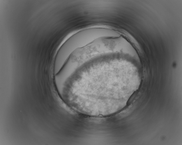 X0000094210860200711241658