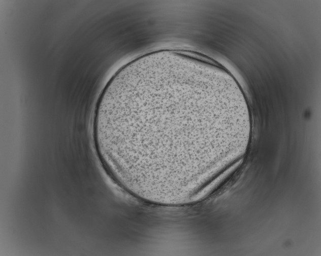 X0000094210861200711241658
