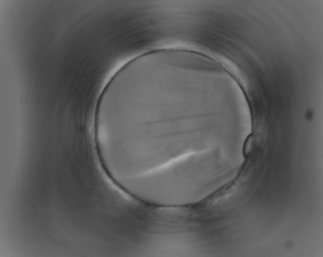 X0000094210863200711241658