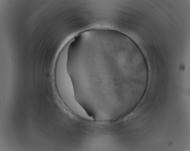 X0000094210864200711241658