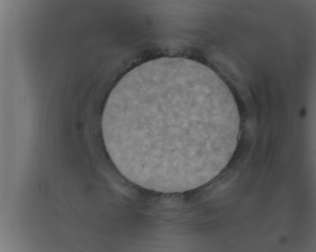 X0000094210865200711241658