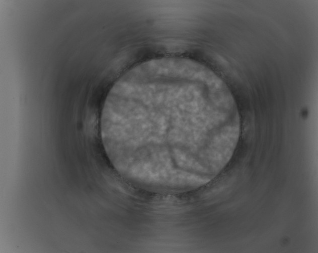X0000094210866200711241658
