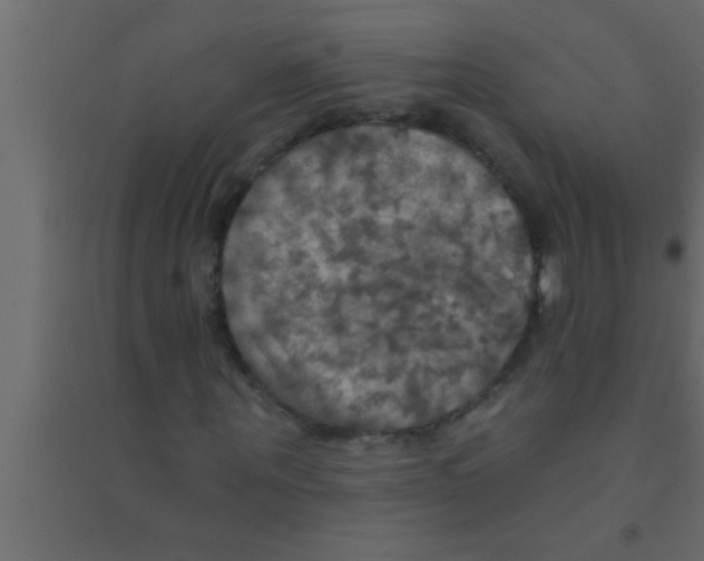 X0000094210867200711241658
