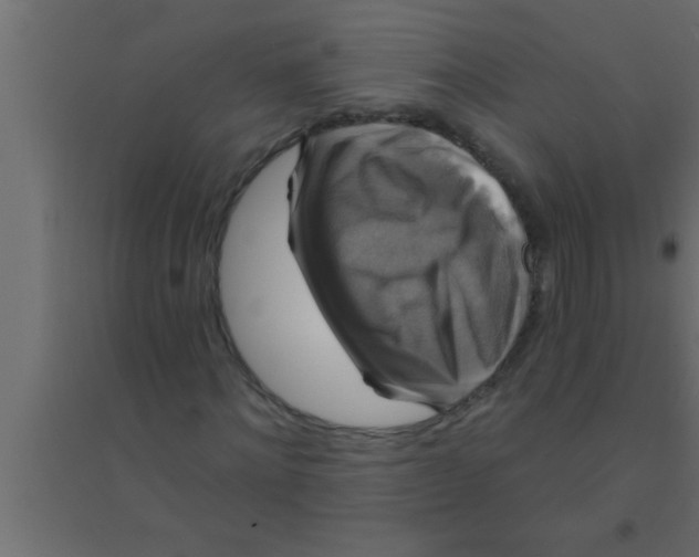 X0000094210868200711241657