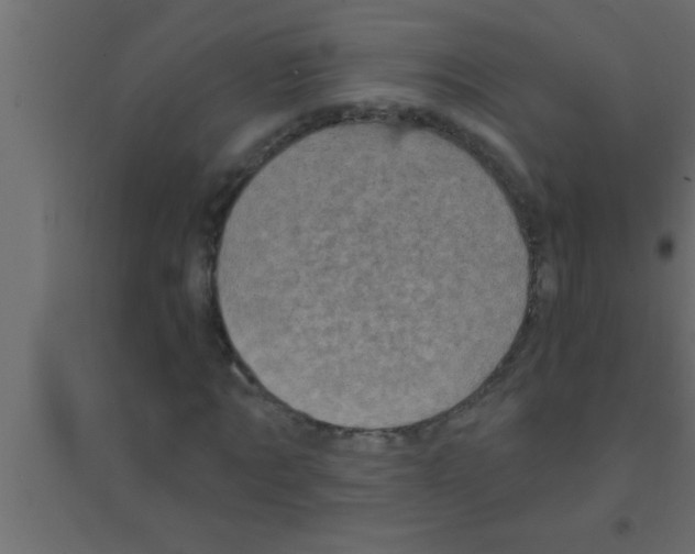 X0000094210869200711241657